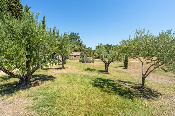 8 - Domaine des Vignobles: Villa: Exterior