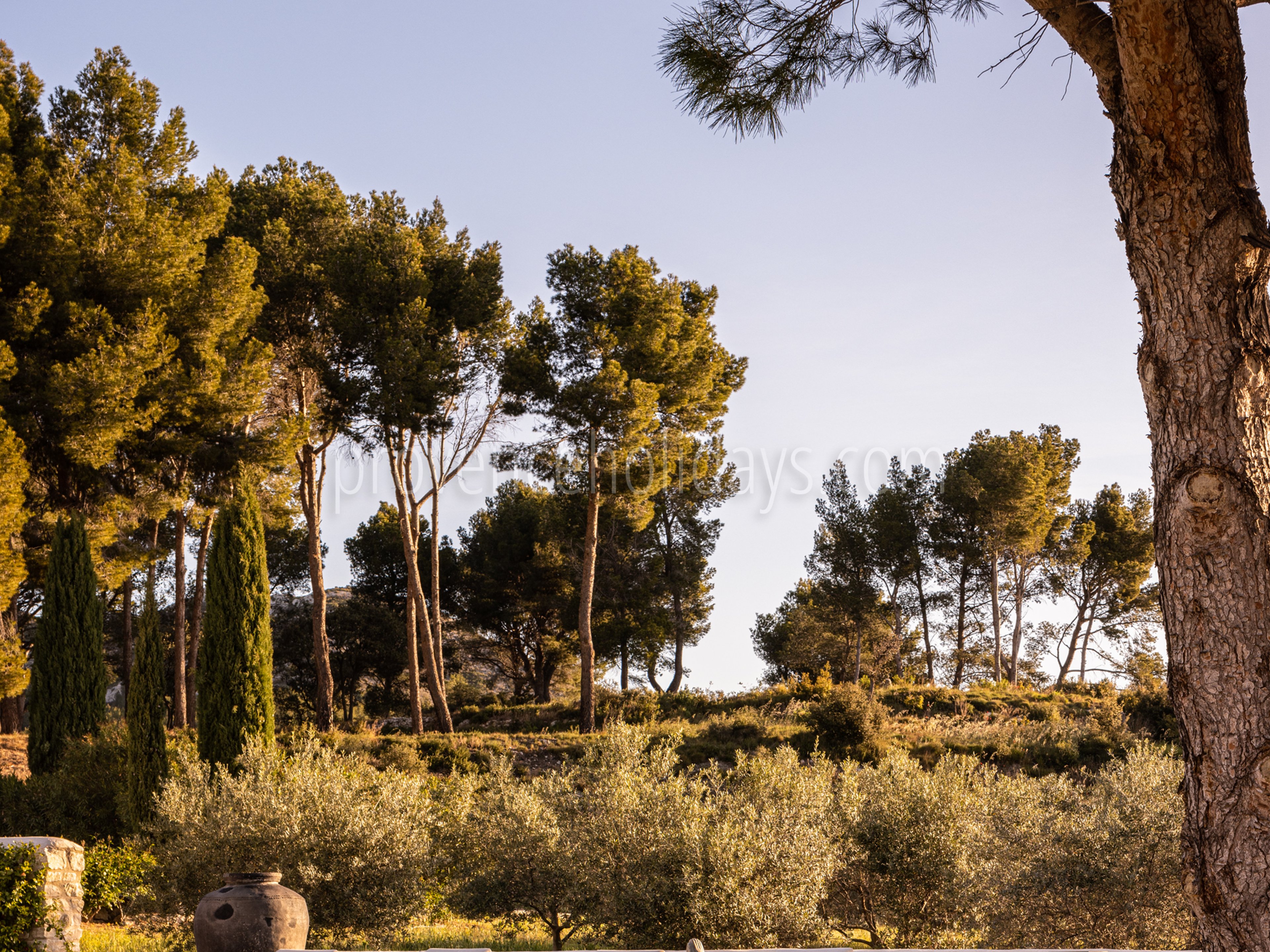 45 - La Bastide de Maussane: Villa: Exterior