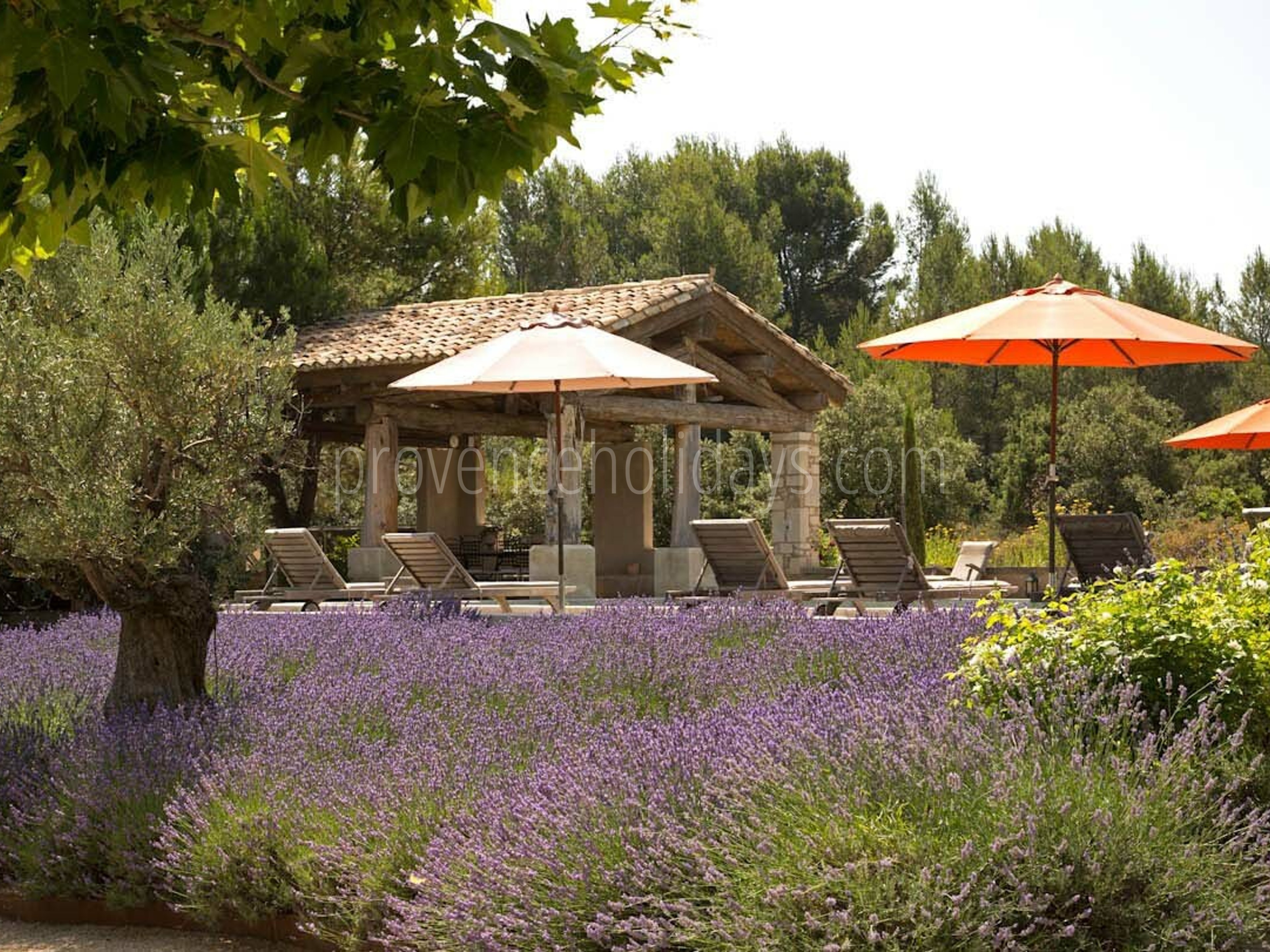 7 - Le Mas des Lavandes: Villa: Exterior