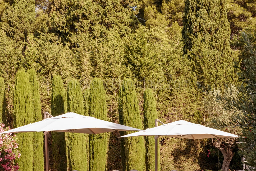 20 - Mas de Maussane: Villa: Pool