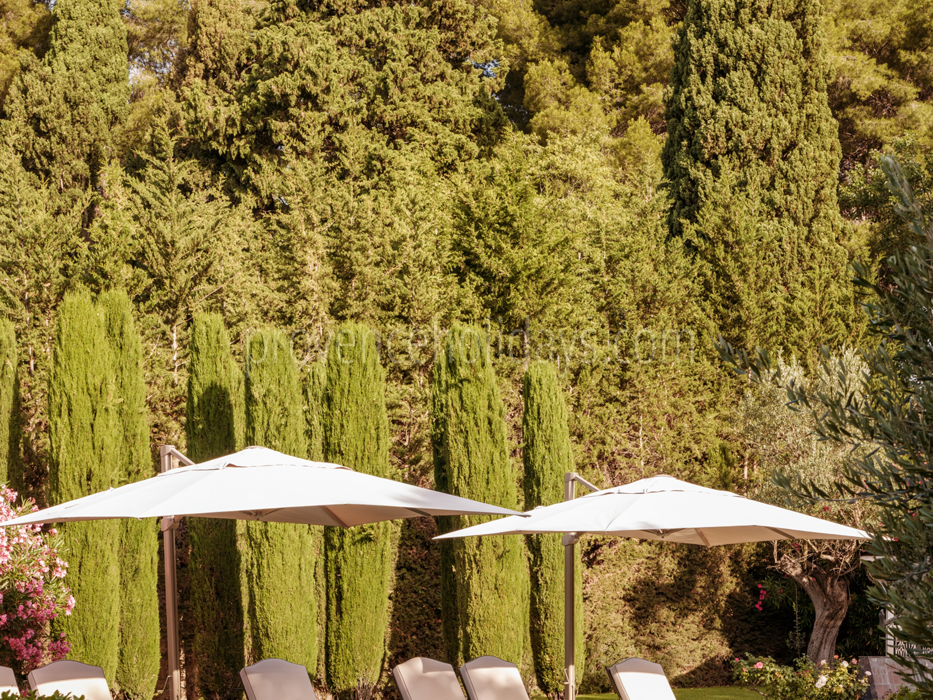 20 - Mas de Maussane: Villa: Pool