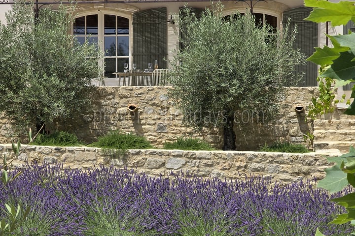 49 - Mas Cerisiers: Villa: Exterior