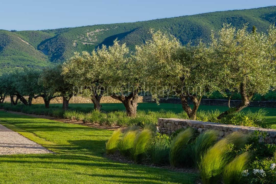 153 - Domaine des cascades: Villa: Exterior