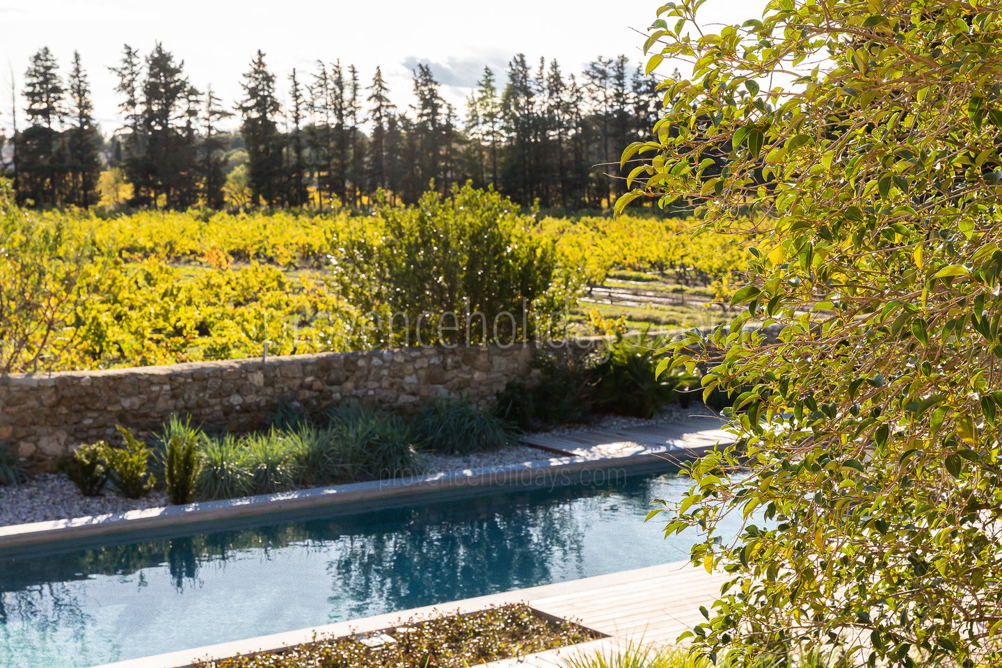 34 - Bastide Sainte-Cécile: Villa: Exterior
