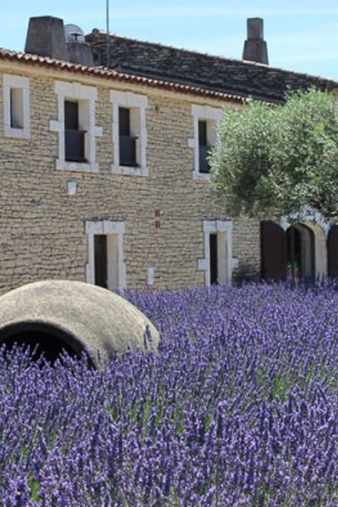 Musée de la Lavande