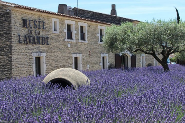 Musée de la Lavande