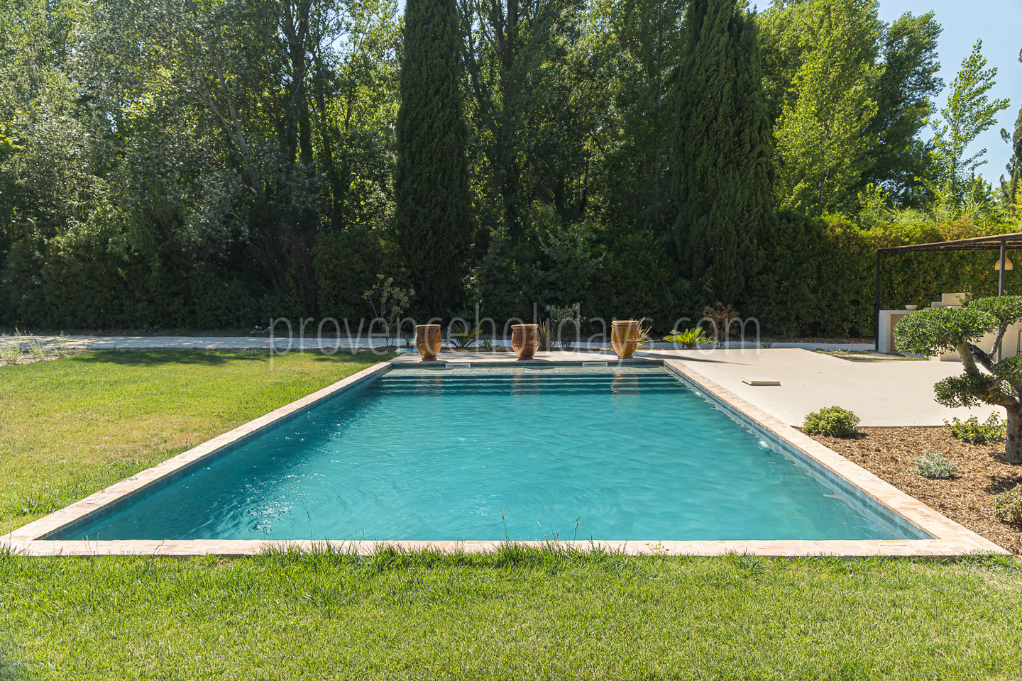 1 - Domaine du Grand Platane: Villa: Pool
