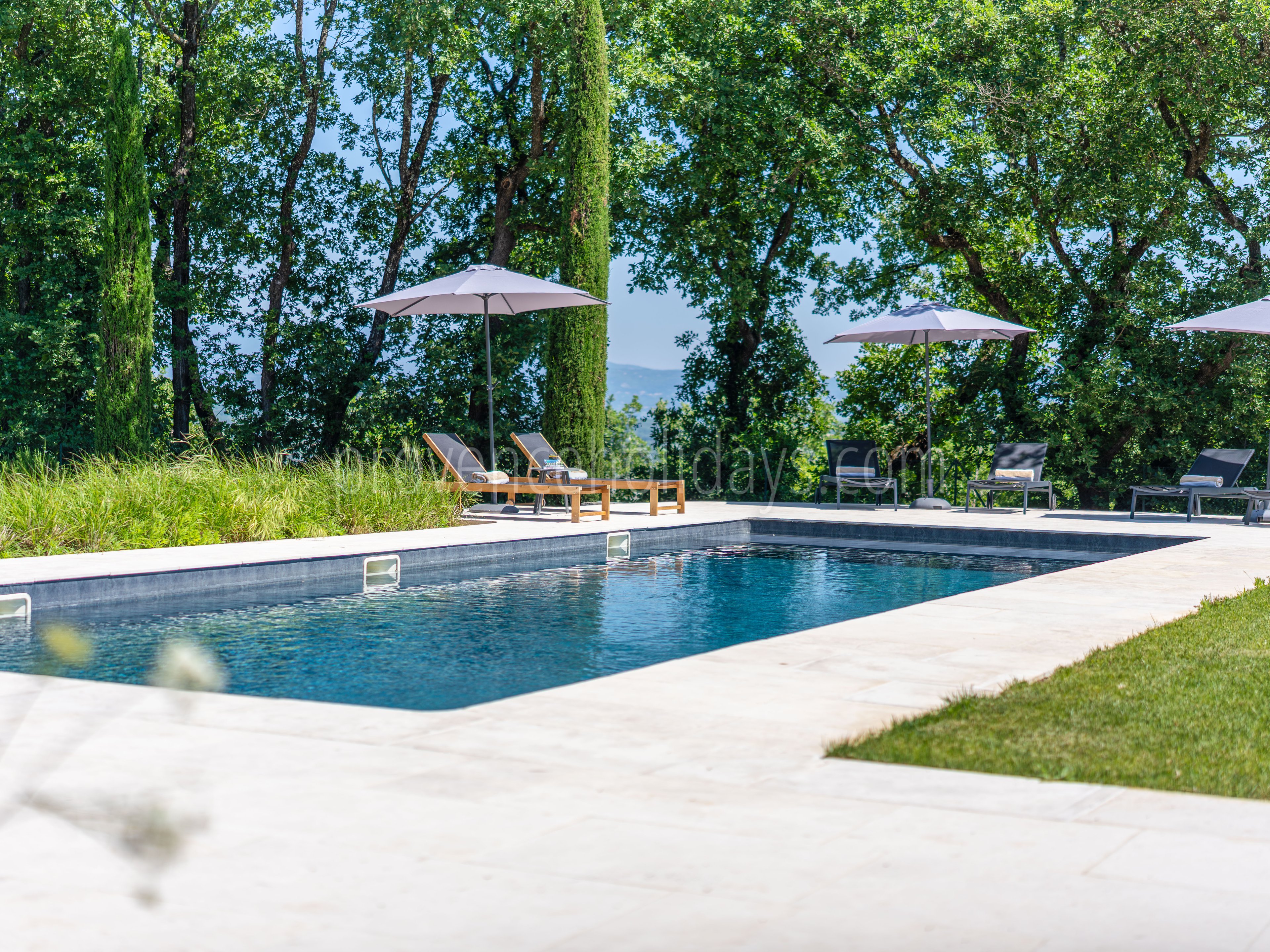 55 - Mas des Firmins: Villa: Pool