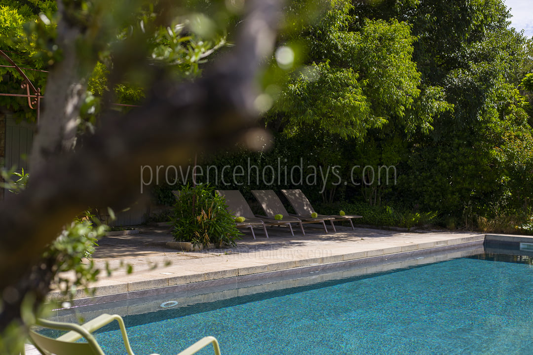100 - Mas des Lavandes: Villa: Pool