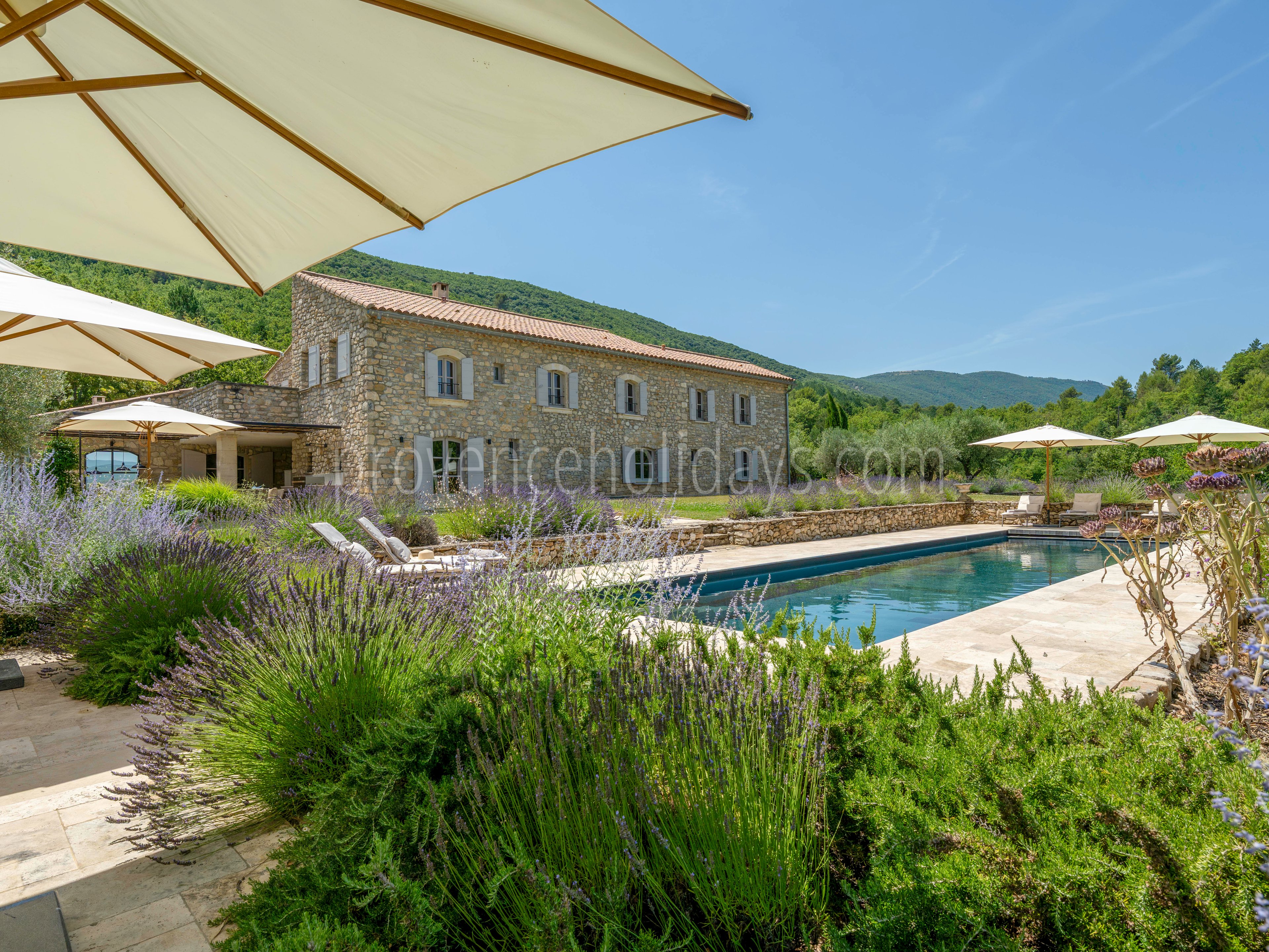 2 - Mas de Saint-Jean: Villa: Pool
