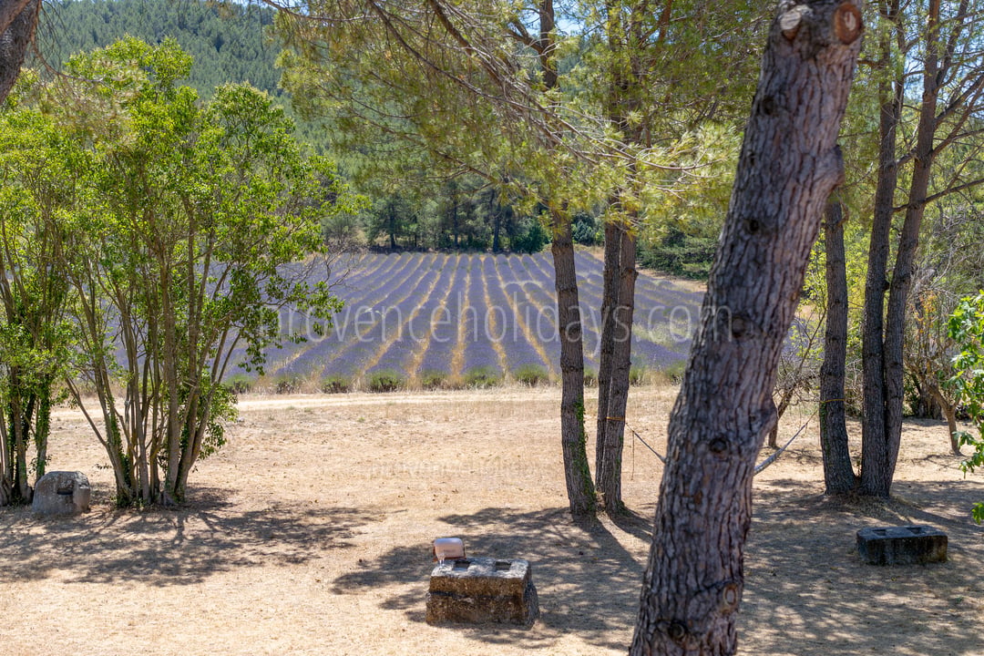 20 - Domaine de la Grande Victoire: Villa: Exterior