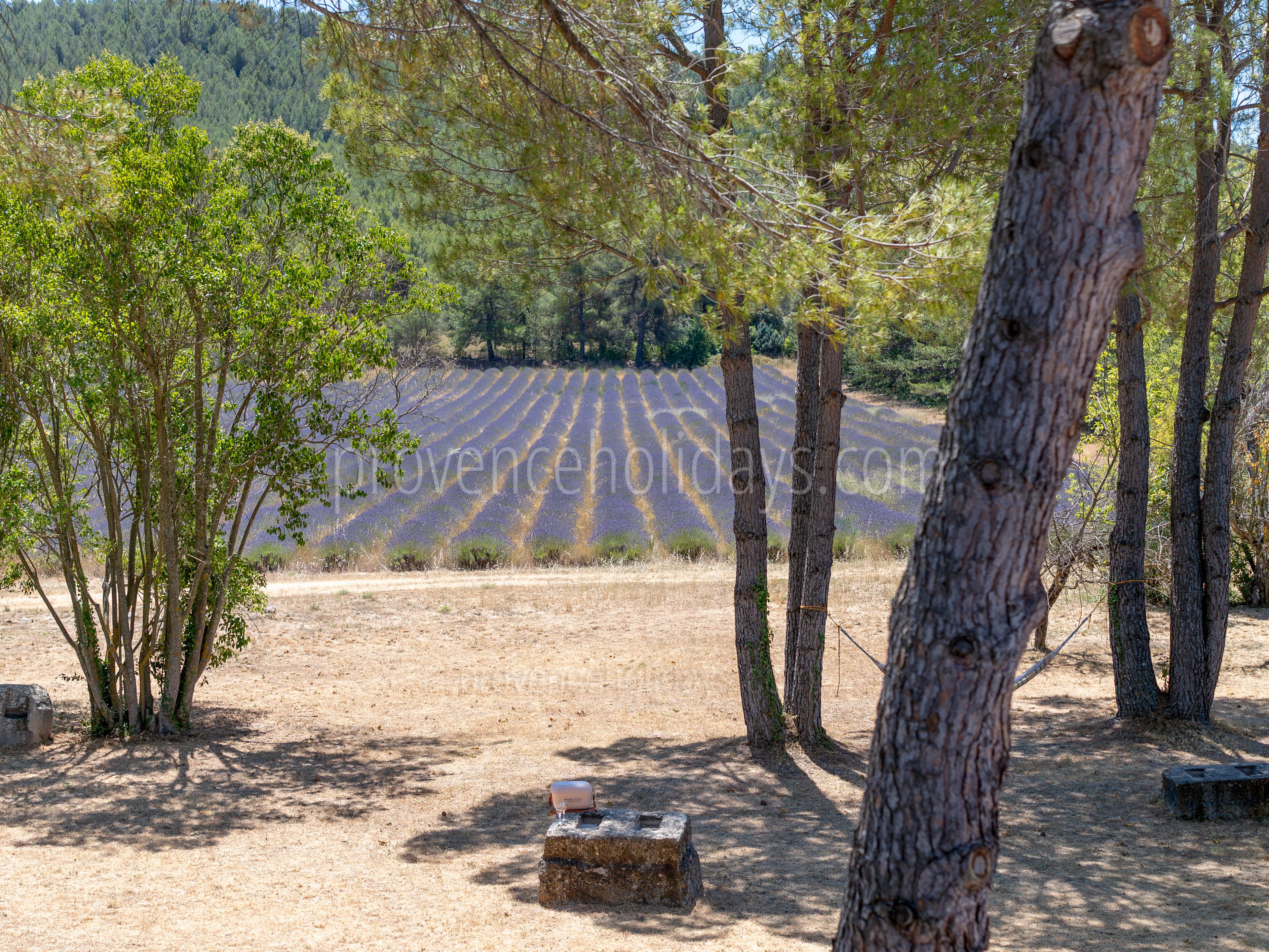 20 - Domaine de la Grande Victoire: Villa: Exterior