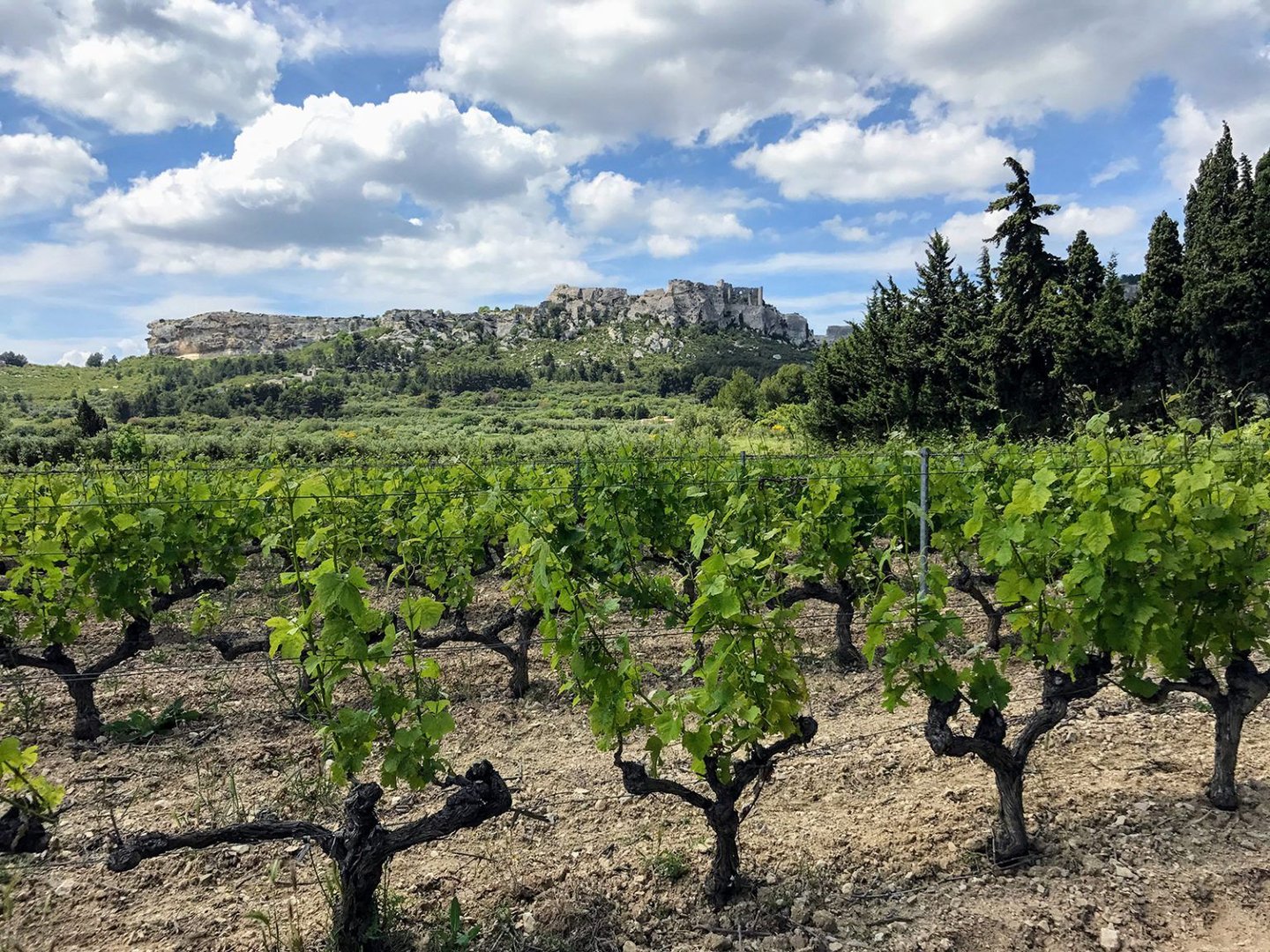 Mas Sainte Berthe, Les Baux-de-Provence