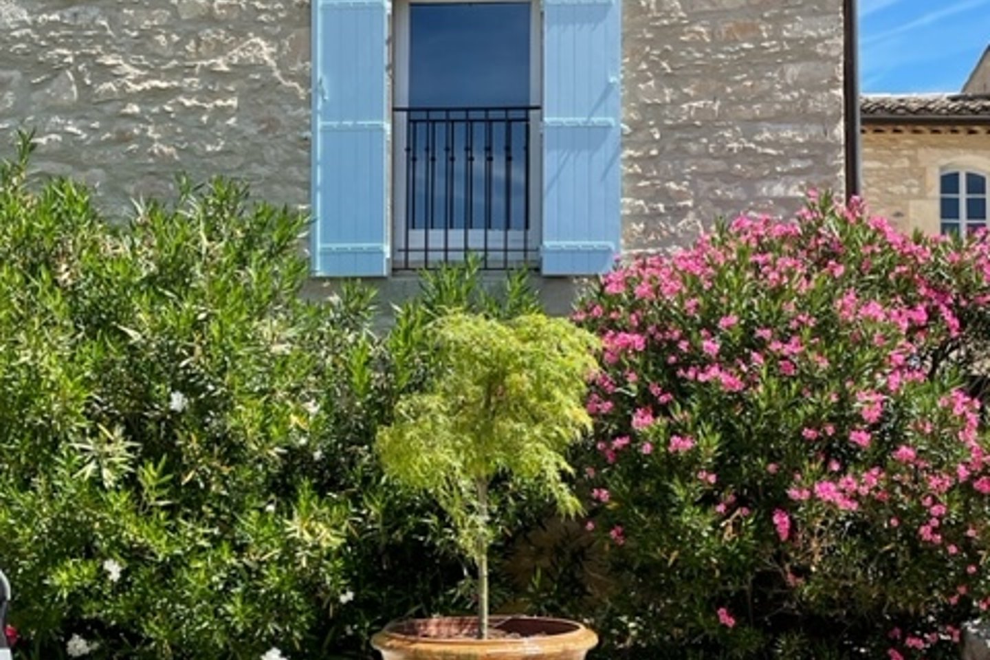 50 - Provence retrouvée: Villa: Exterior