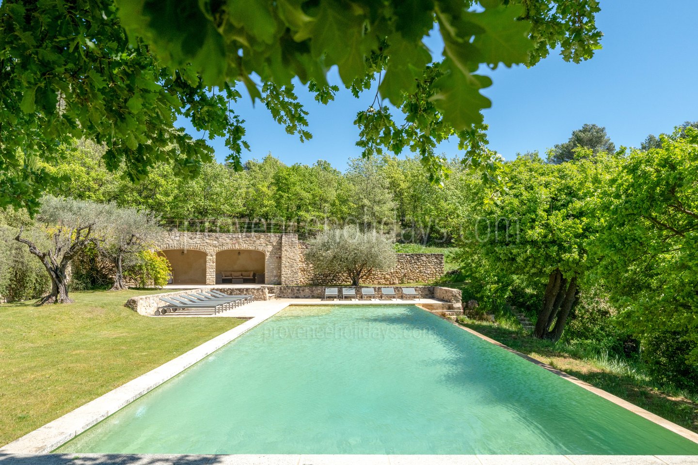 2 - Le Mas des Vignes: Villa: Pool