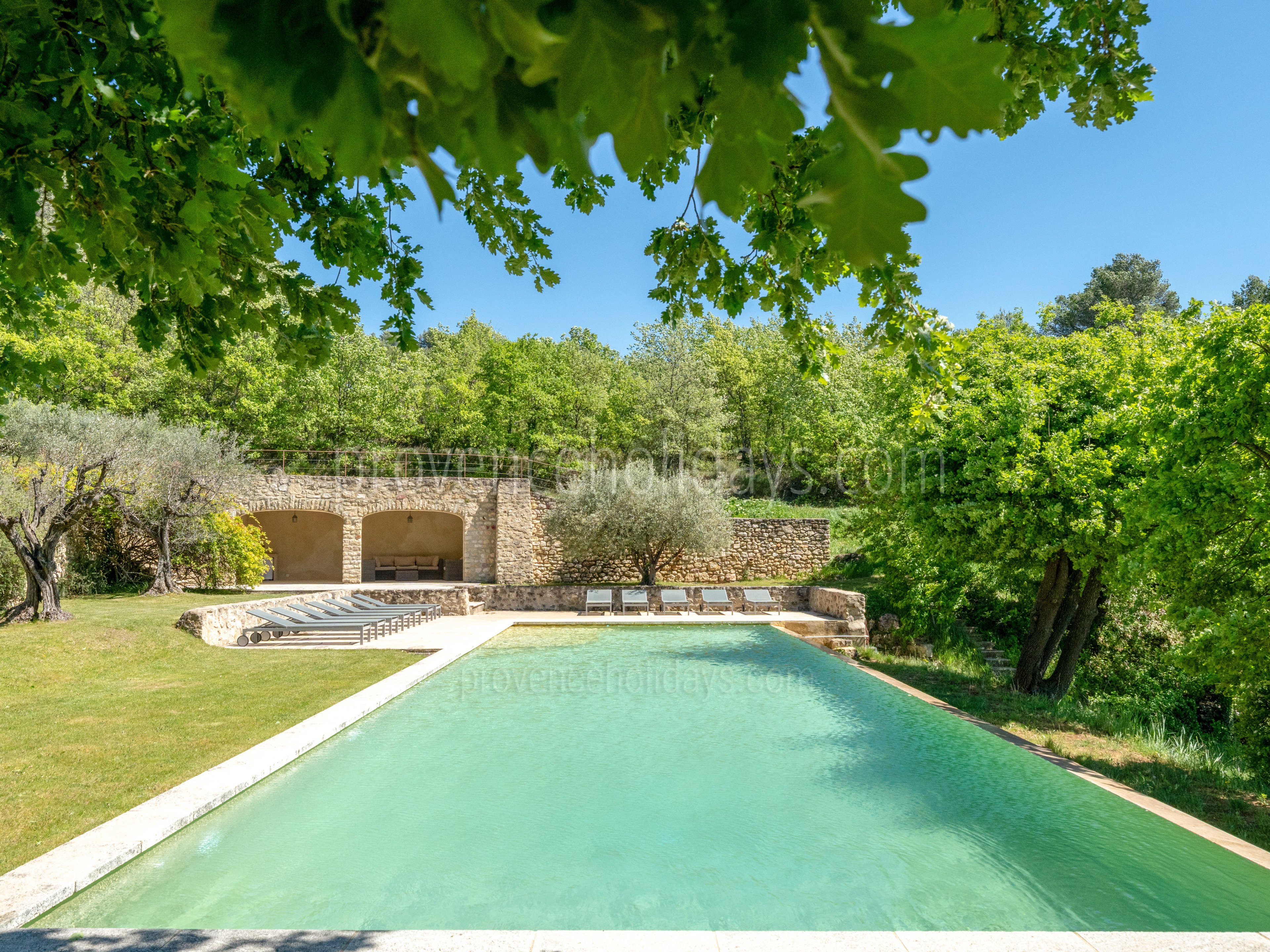2 - Le Mas des Vignes: Villa: Pool