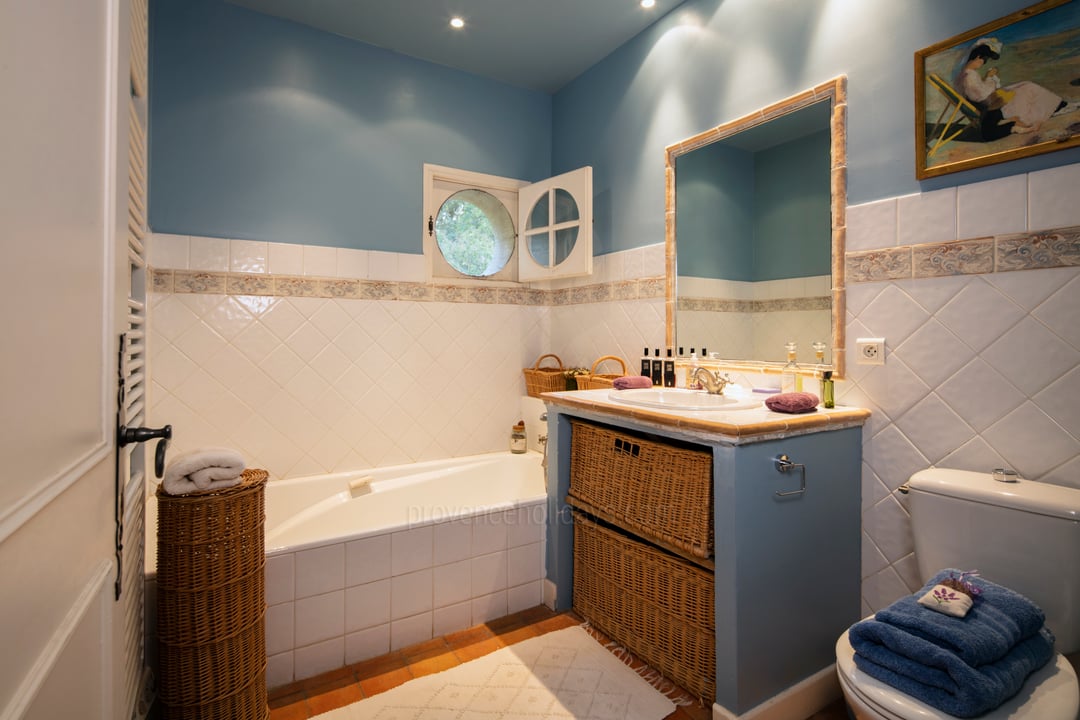 43 - Domaine de Mouriès: Villa: Bathroom