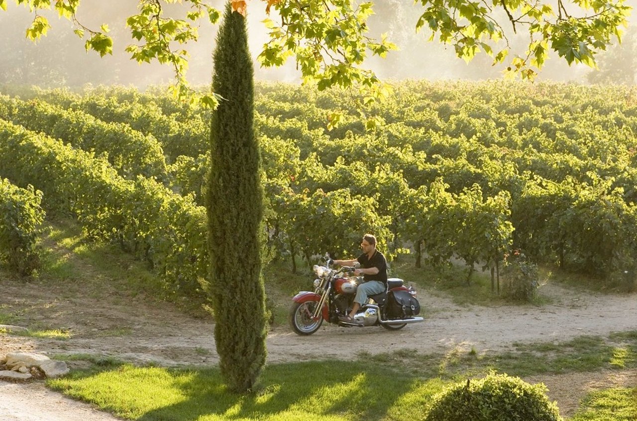 man riding motorcycle through vineyards