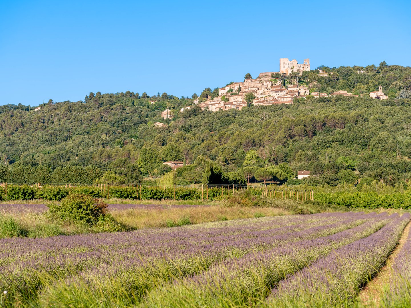 Lacoste, Provence