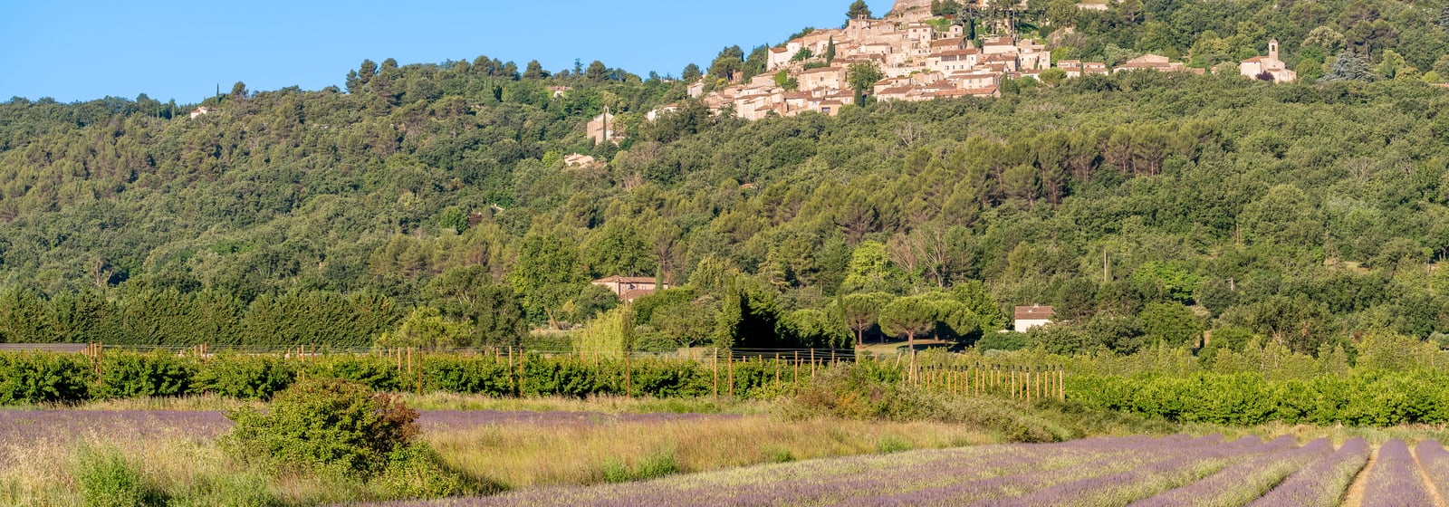 Lacoste, Provence