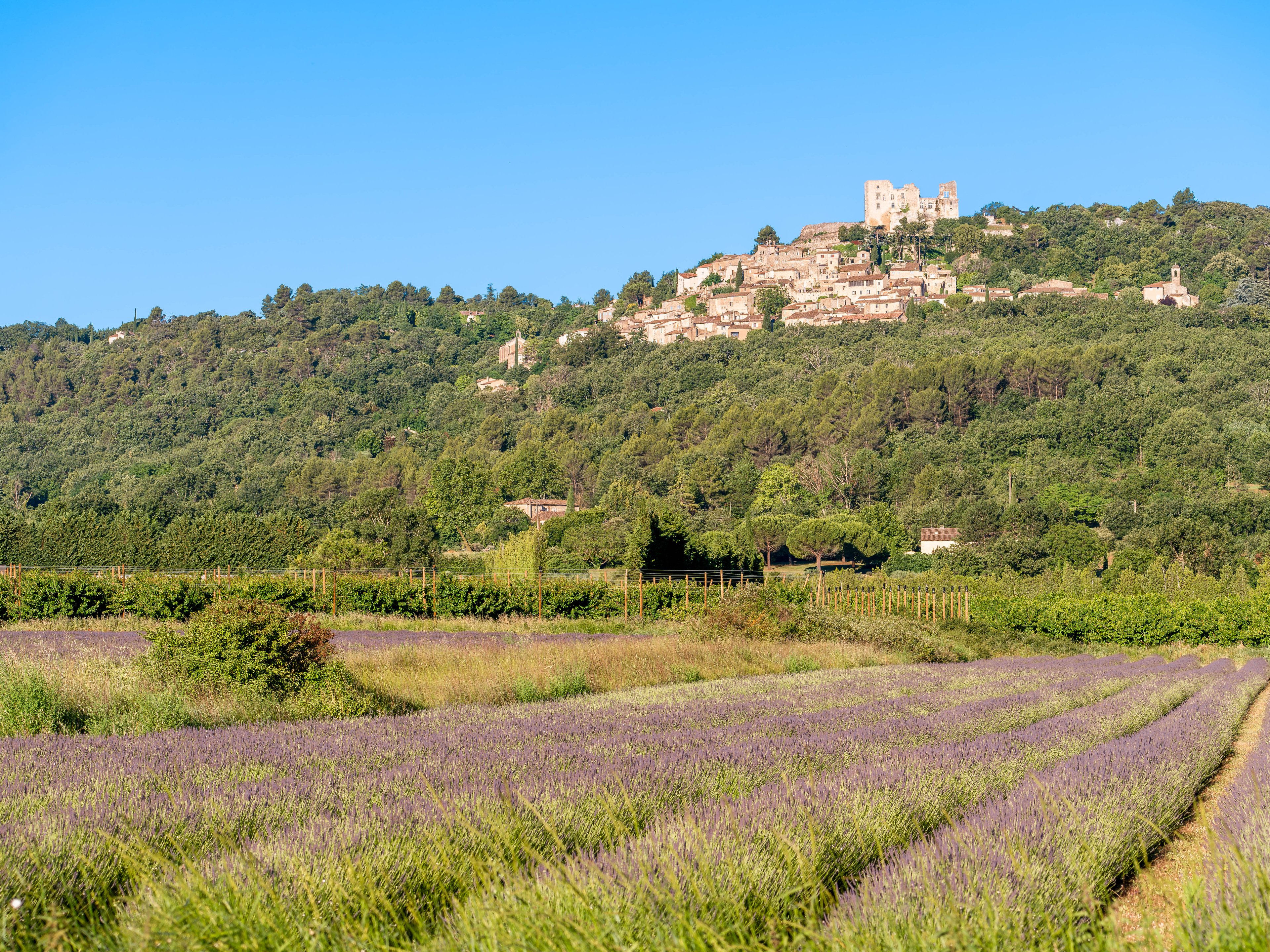 Lacoste, Provence