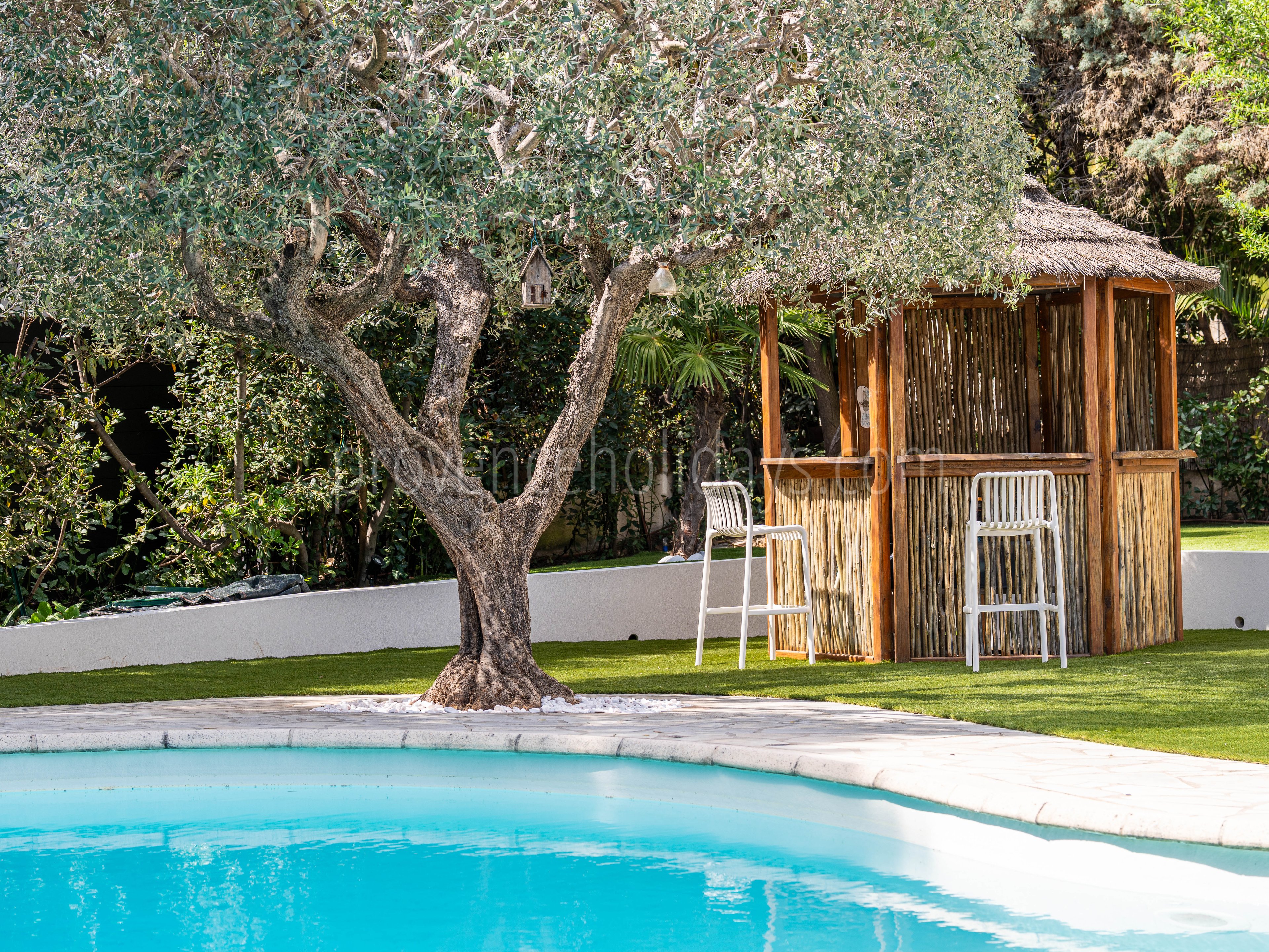 32 - Villa Croisette: Villa: Pool