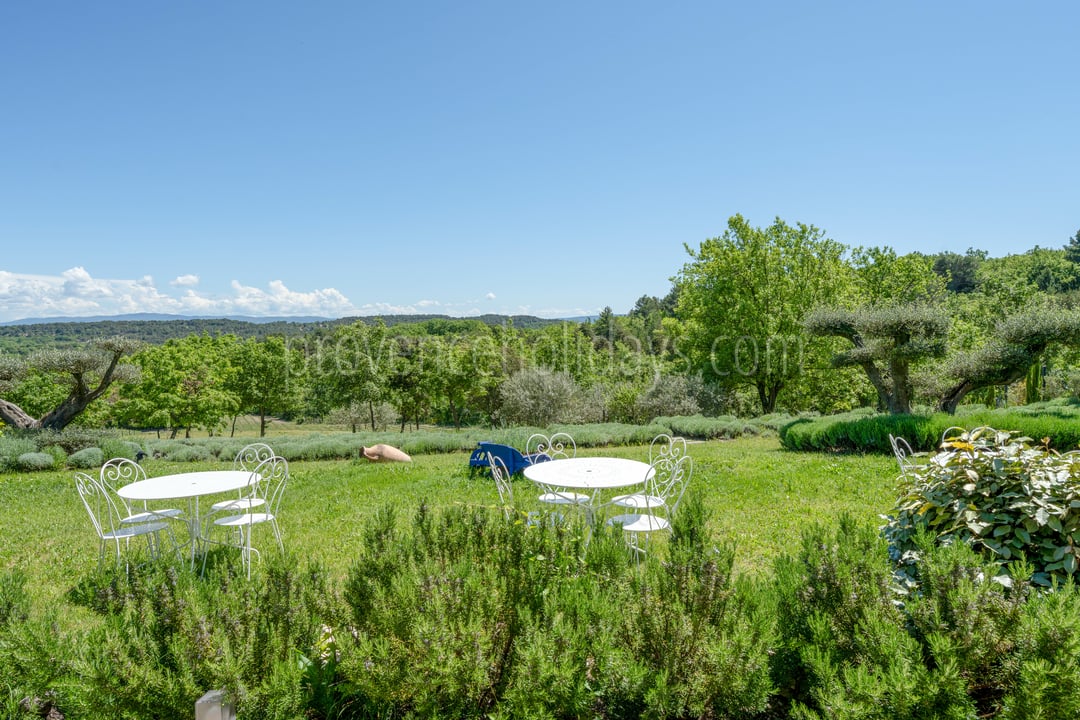 19 - Bastide des Chênes: Villa: Exterior