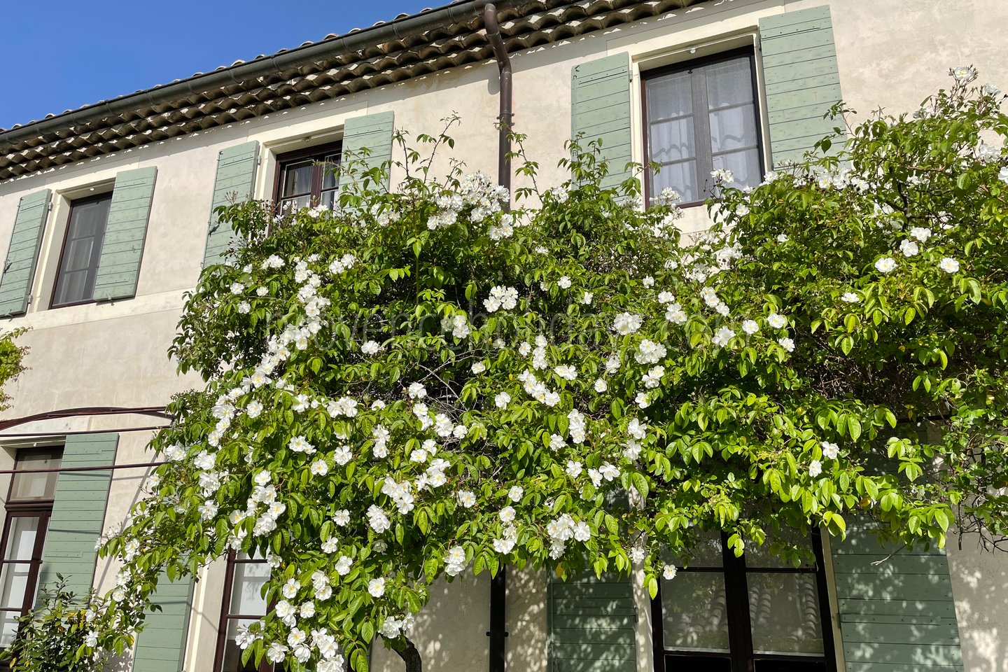 10 - Mas de Séguret: Villa: Exterior