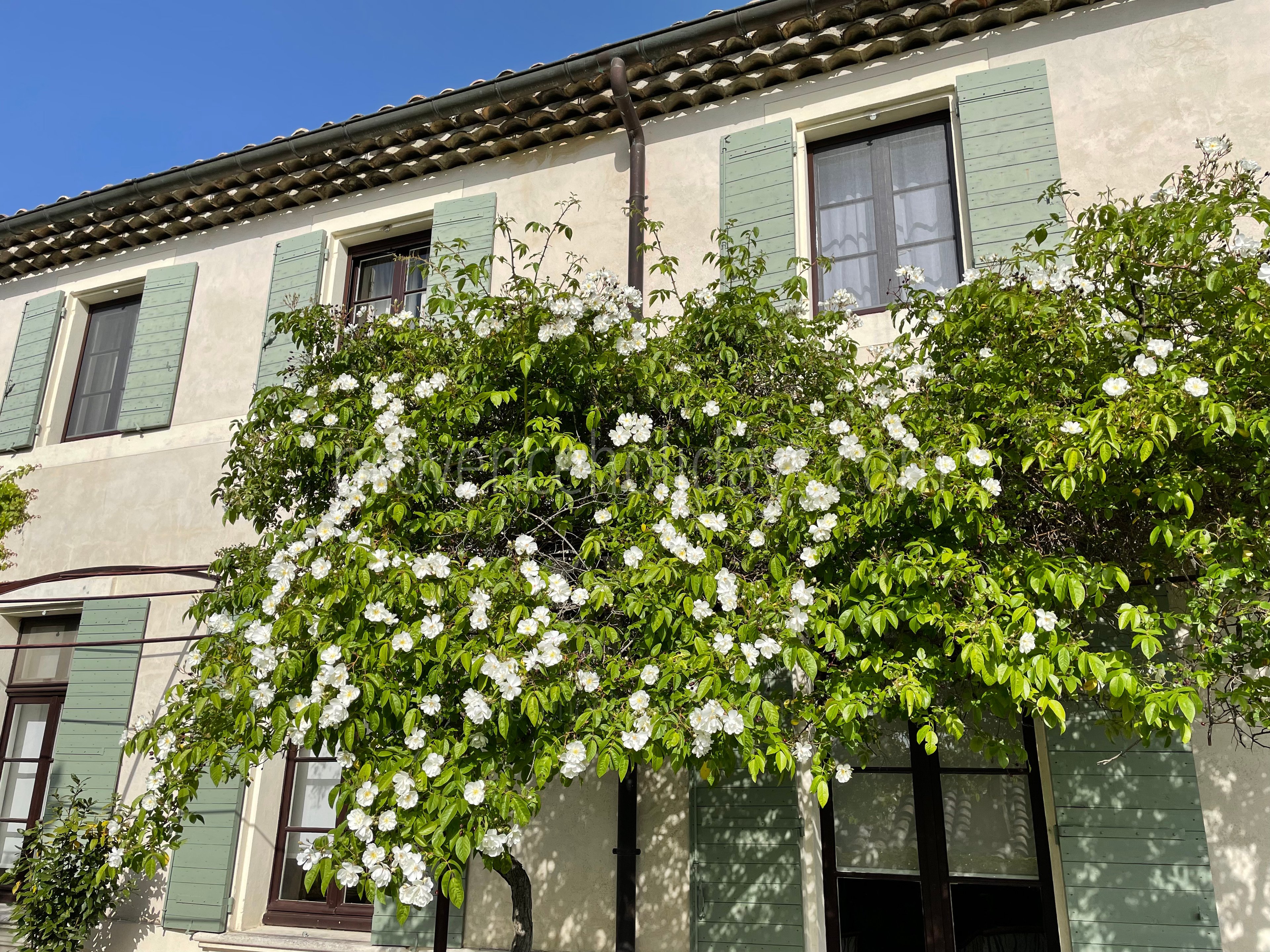 10 - Mas de Séguret: Villa: Exterior