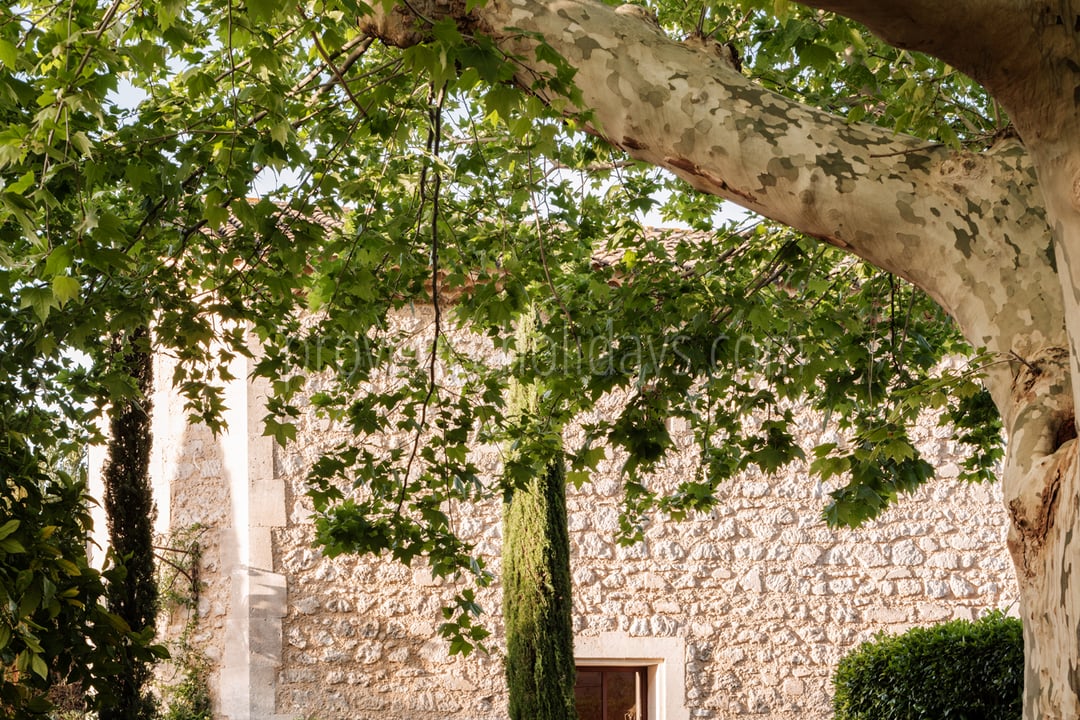 15 - Mas des Oliviers: Villa: Exterior