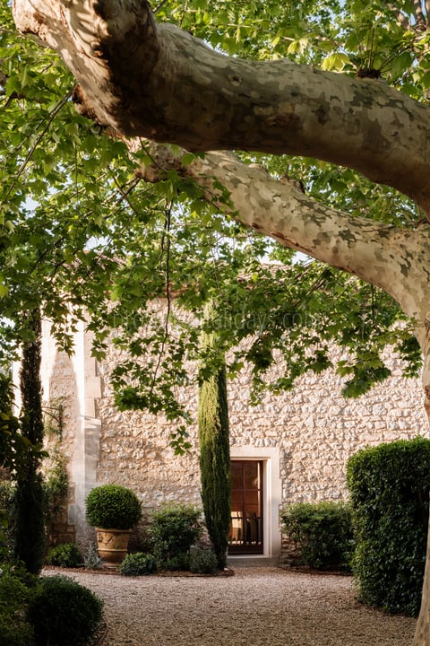 15 - Mas des Oliviers: Villa: Exterior