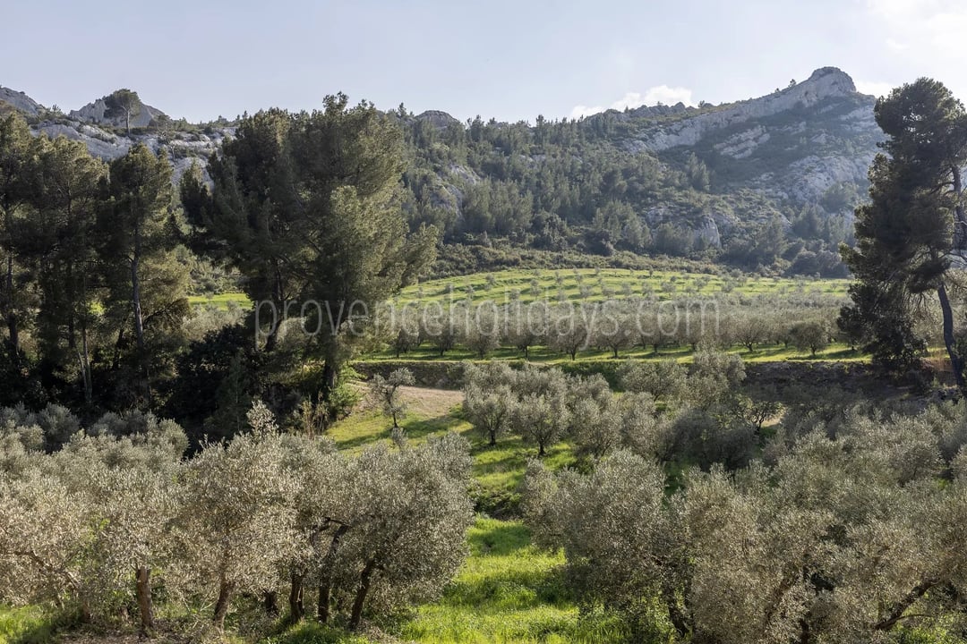 38 - Le Loup des Alpilles: Villa: Exterior