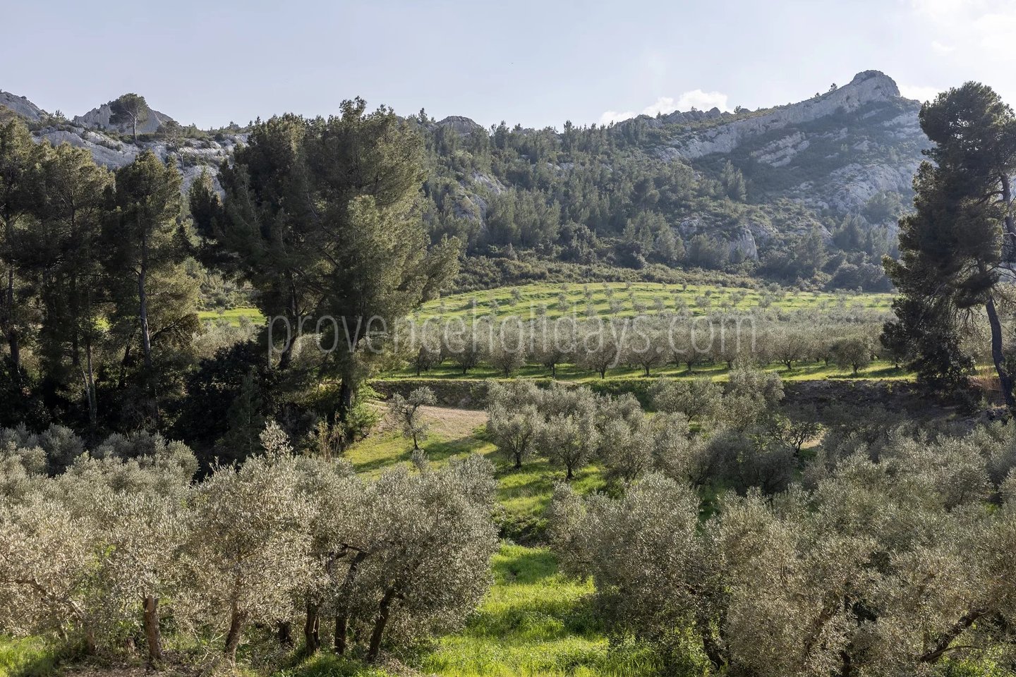 38 - Le Loup des Alpilles: Villa: Exterior