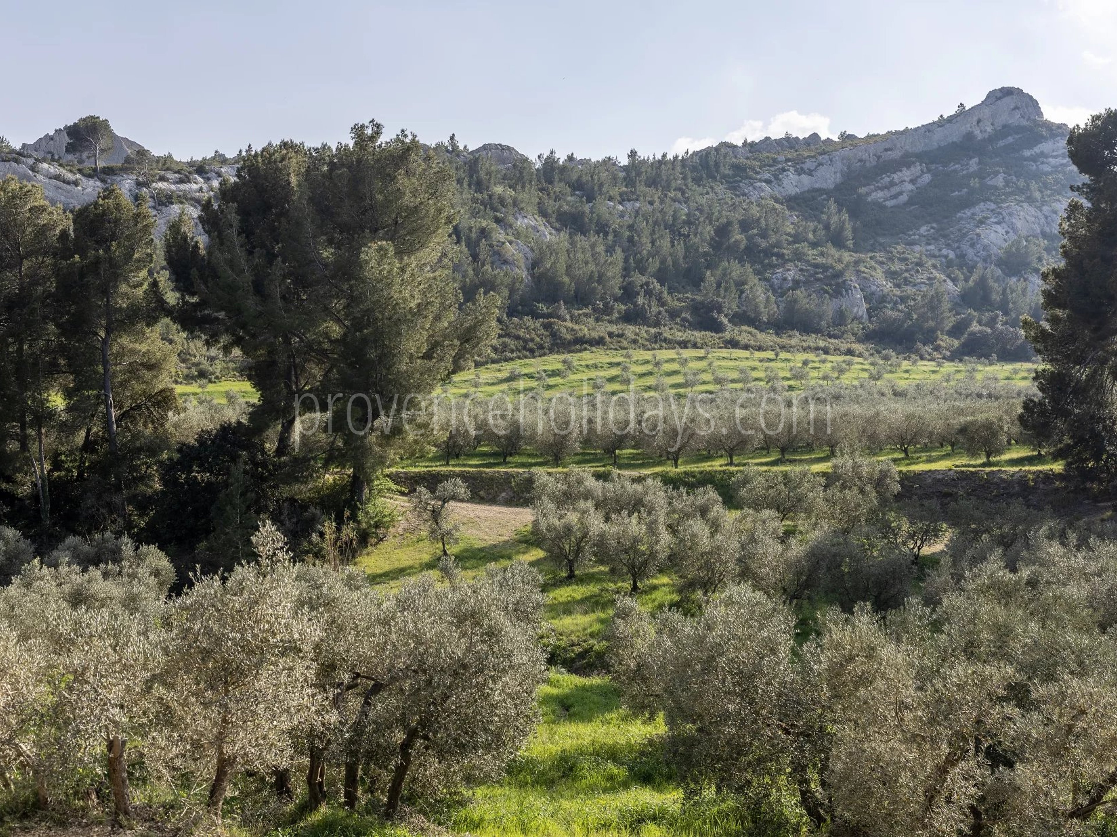 38 - Le Loup des Alpilles: Villa: Exterior