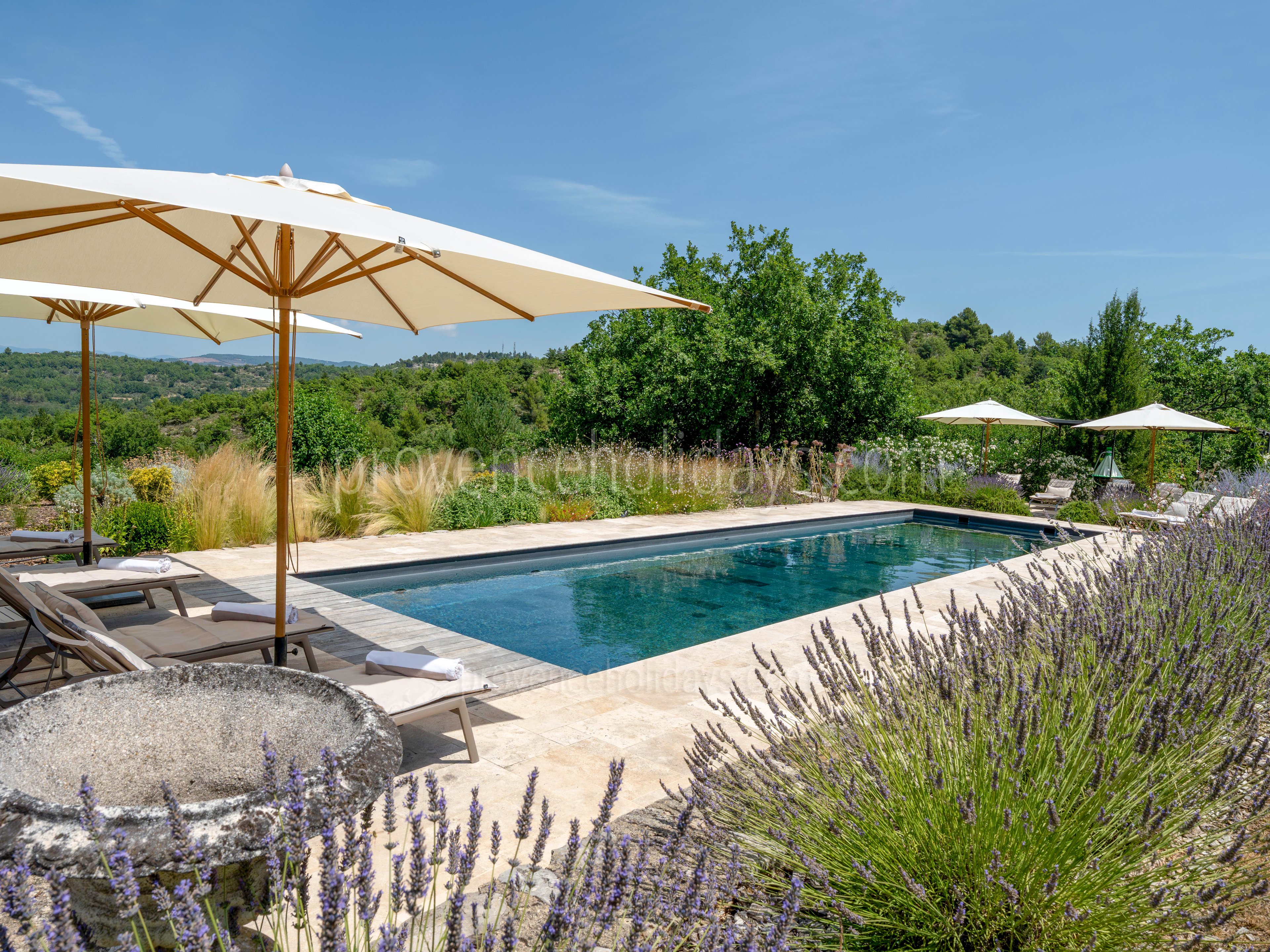 5 - Mas de Saint-Jean: Villa: Pool