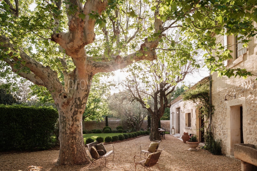 16 - Mas des Oliviers: Villa: Exterior