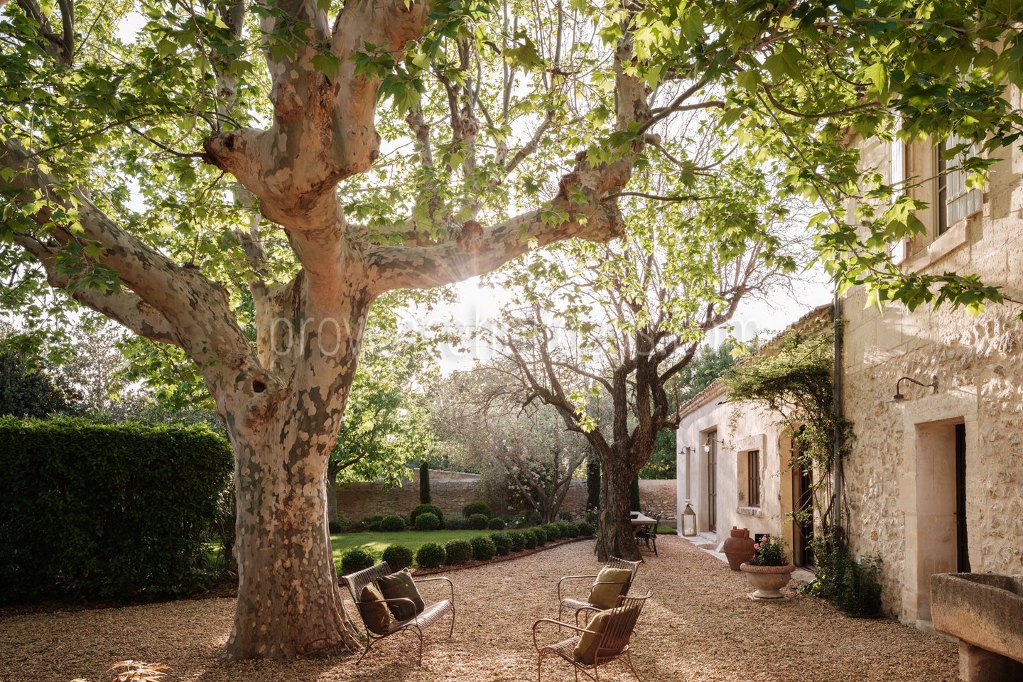 16 - Mas des Oliviers: Villa: Exterior