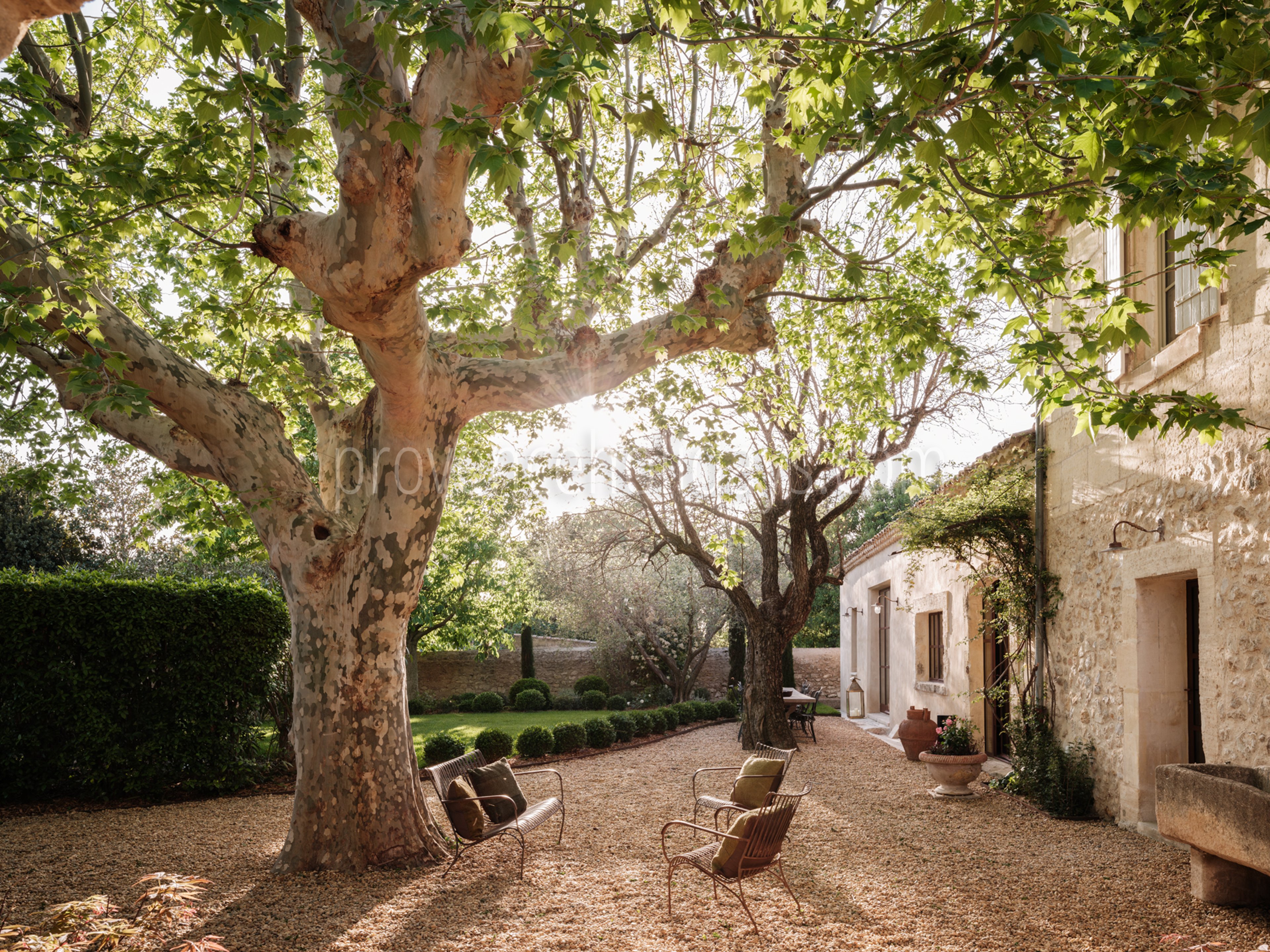 16 - Mas des Oliviers: Villa: Exterior