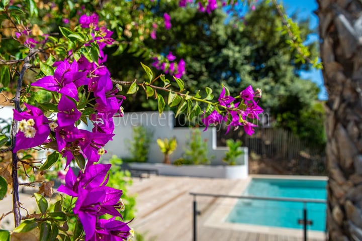 Hedendaagse villa in Cavalaire-sur-Mer - 29