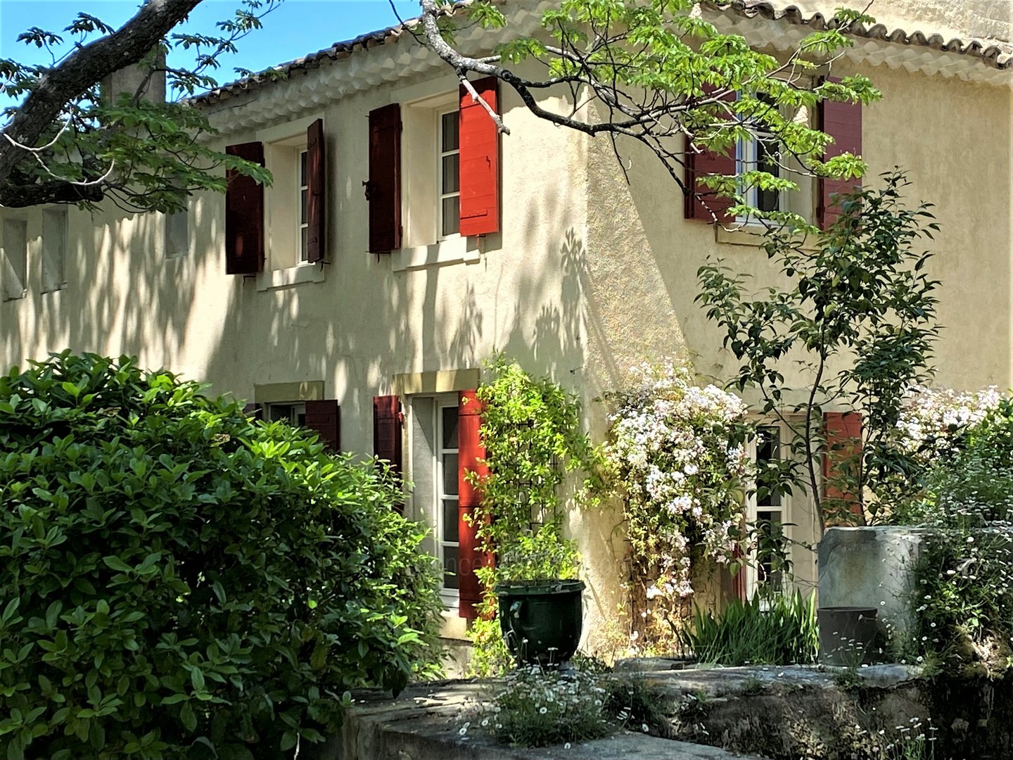 3 - Grand Mas de Cairanne: Villa: Exterior