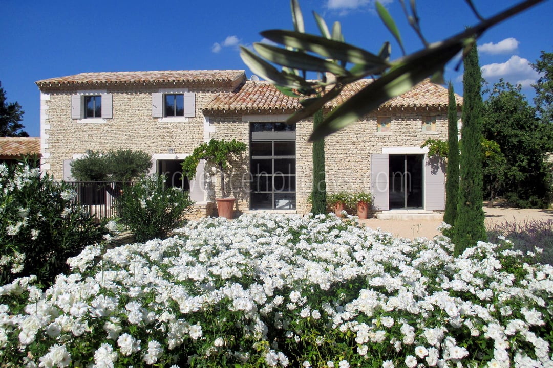 19 - Le Mas de la Pinède: Villa: Exterior