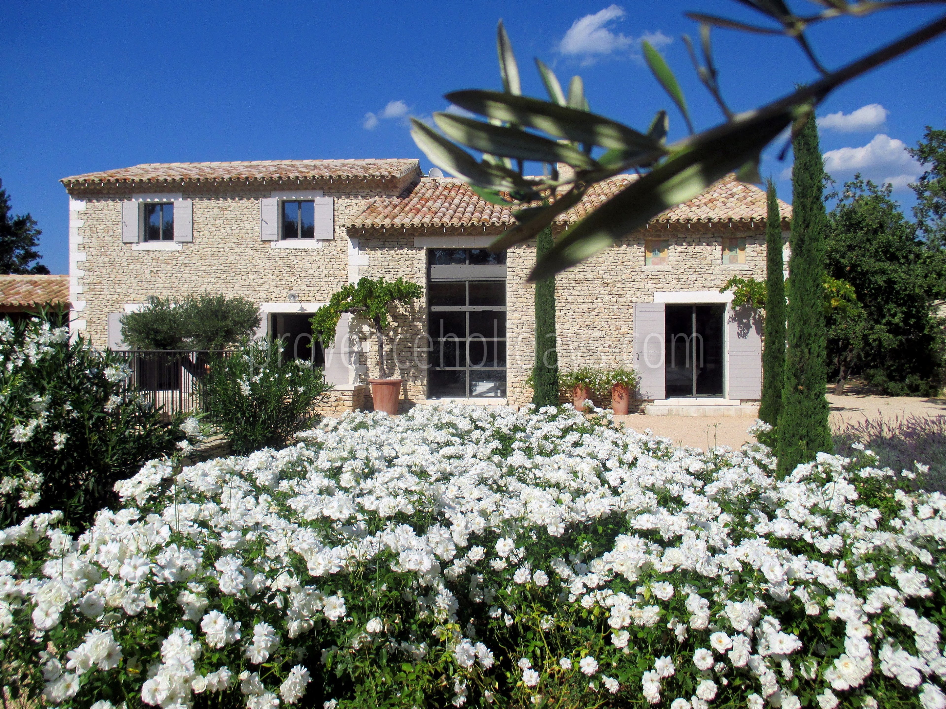 19 - Le Mas de la Pinède: Villa: Exterior