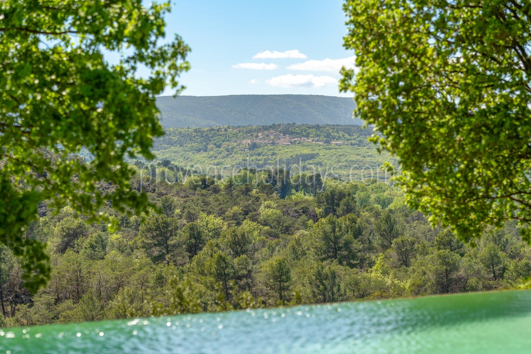 5 - Le Mas des Vignes: Villa: Pool