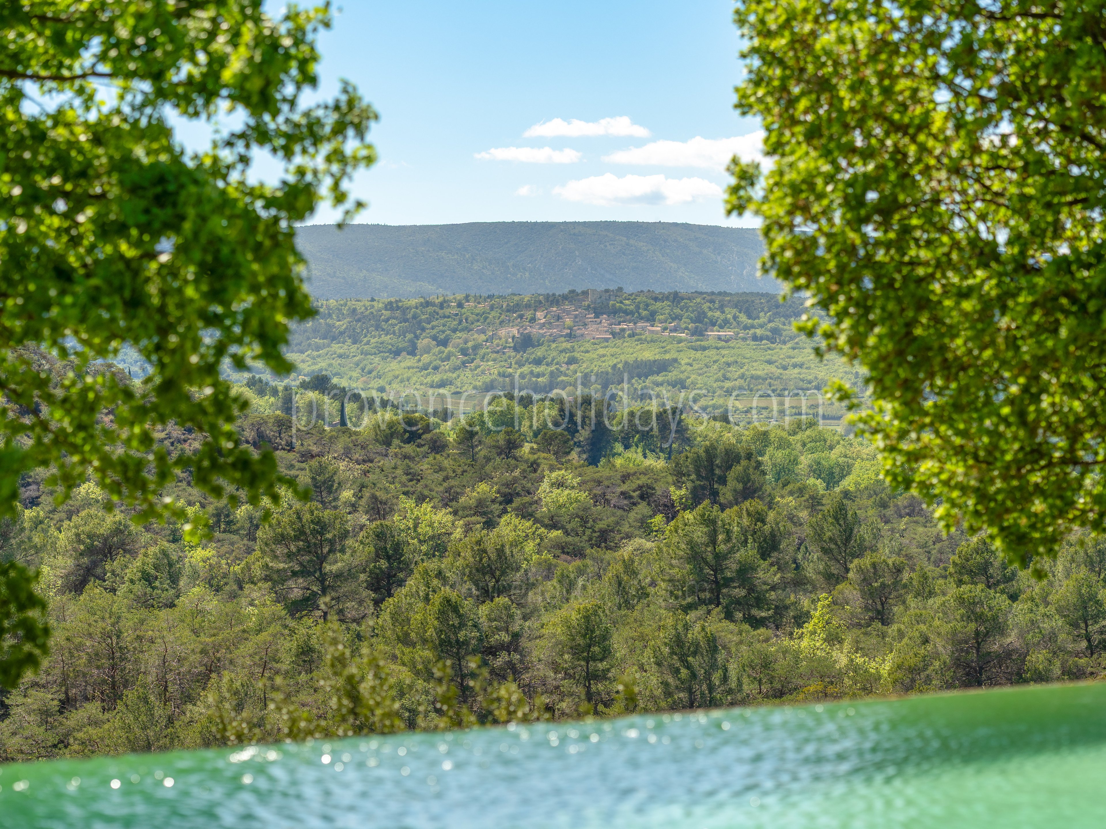 5 - Le Mas des Vignes: Villa: Pool