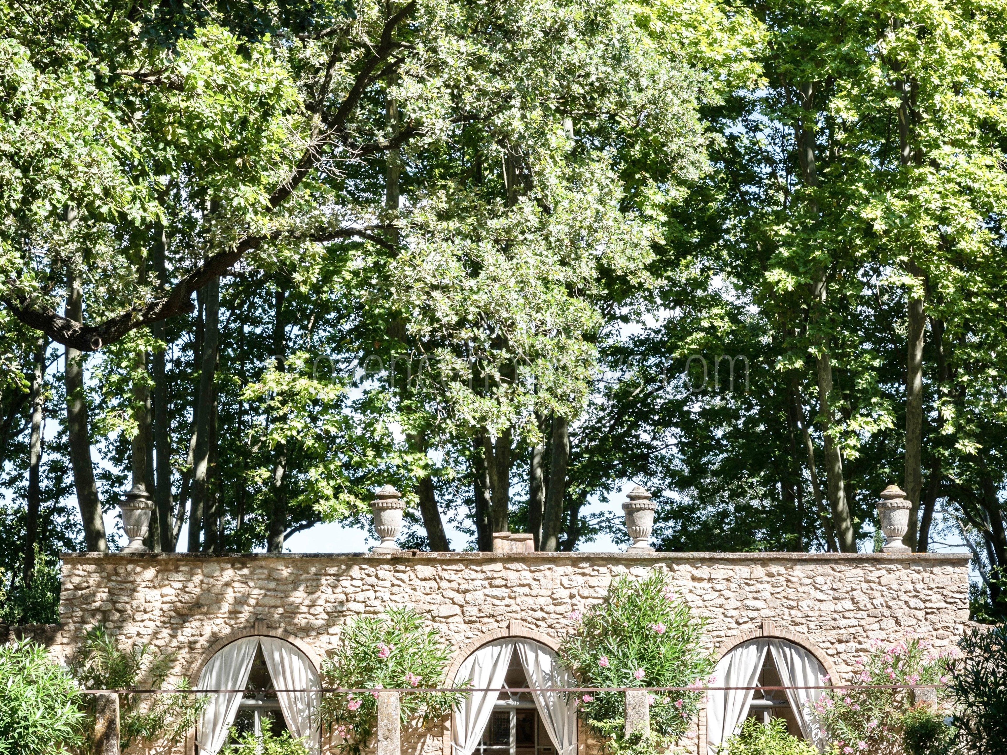 15 - Bastide des Alpilles: Villa: Exterior