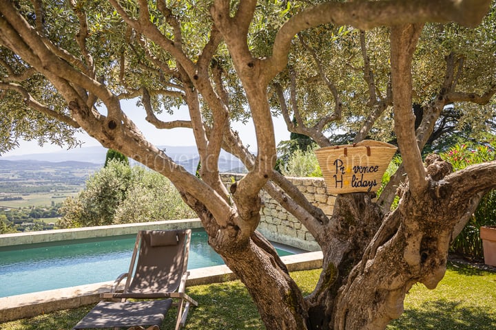 52 - Villa Alta Provence: Villa: Pool