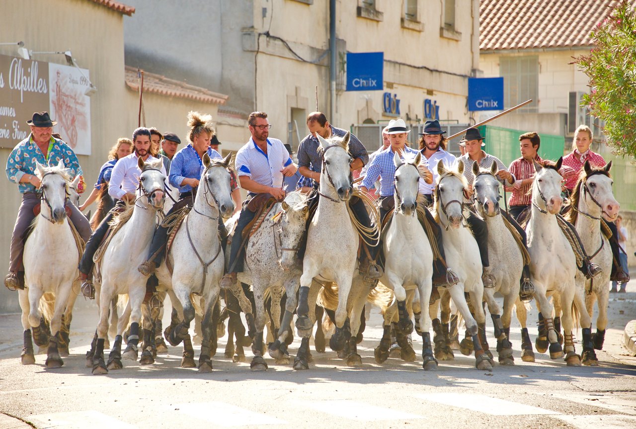 Fête Votive de Saint-Rémy bullfighting with horses