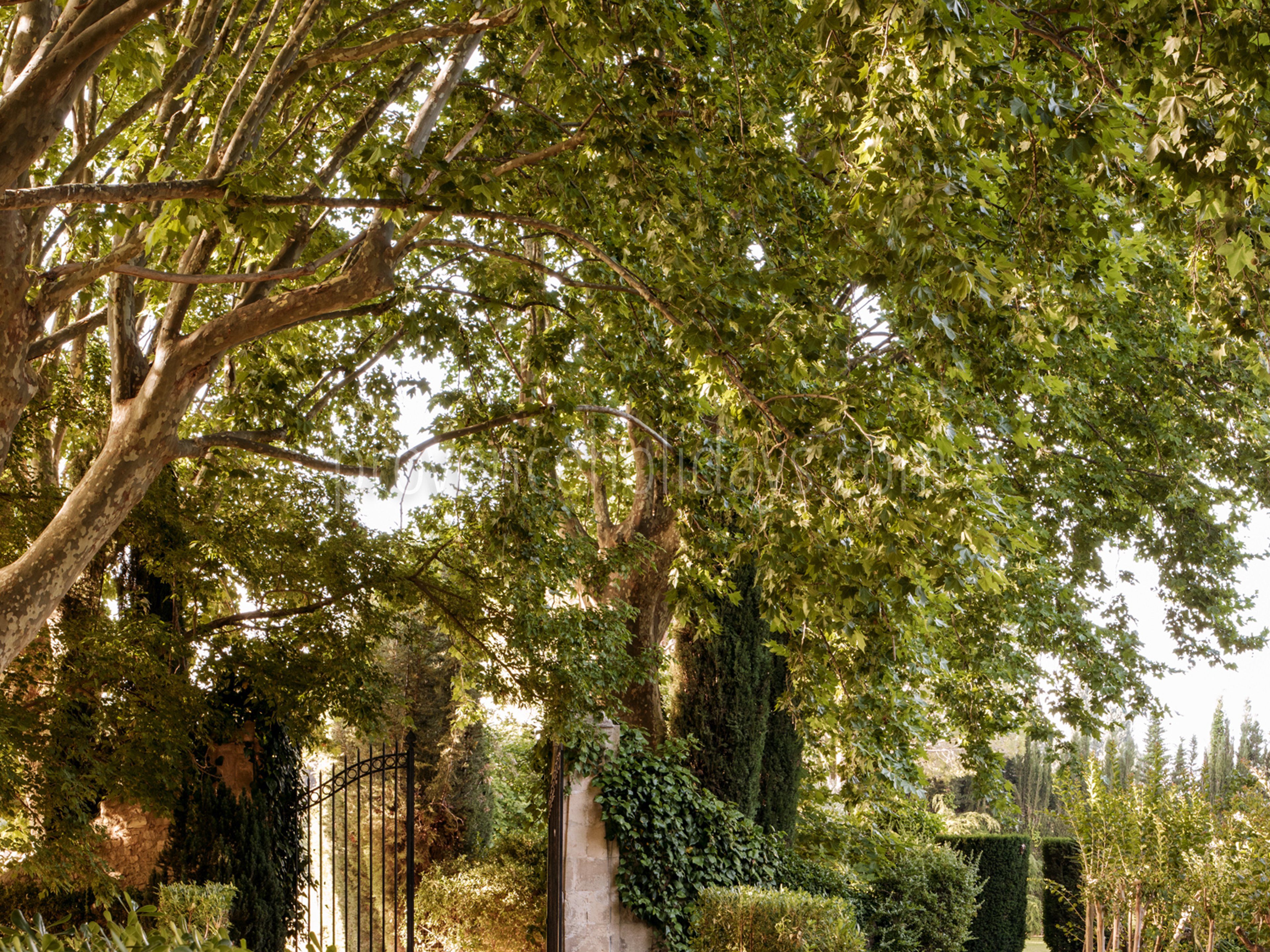 17 - Mas de Maussane: Villa: Exterior
