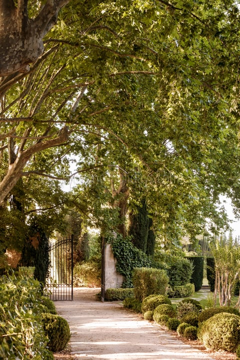 17 - Mas de Maussane: Villa: Exterior