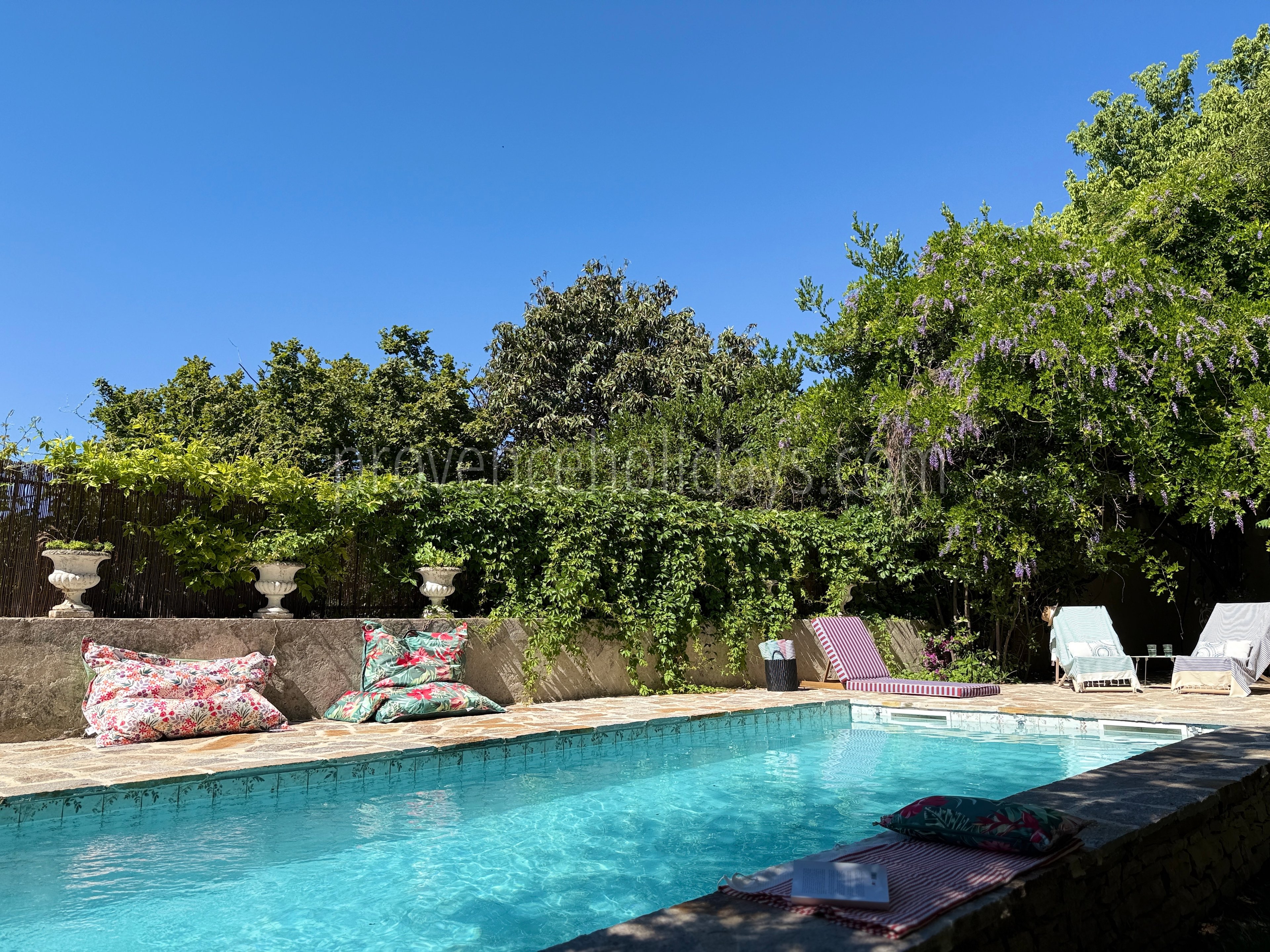-2 - Hotel Olivine: Villa: Pool